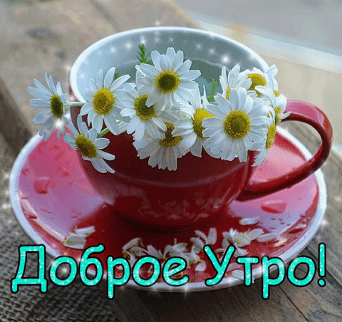 Доброе Утро!.