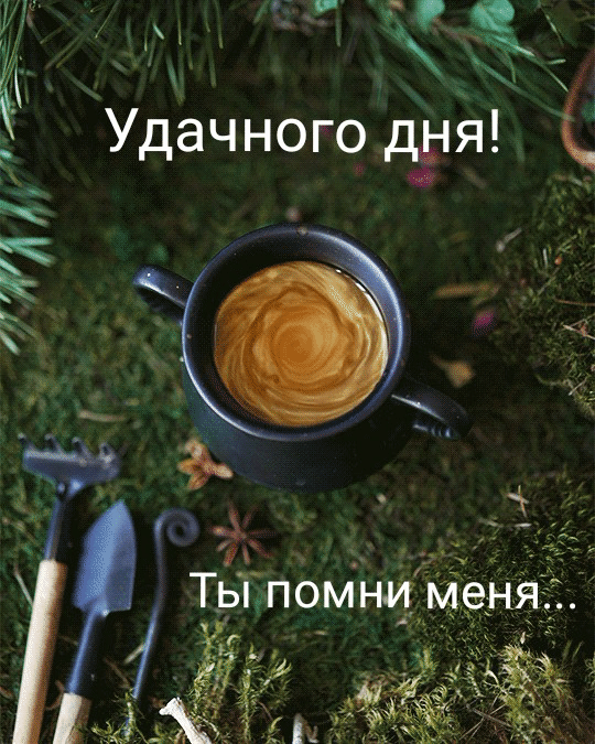 Удачного дня! Ты помню меня....