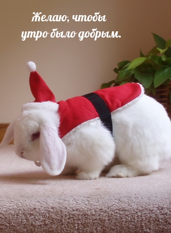 ,    ..
