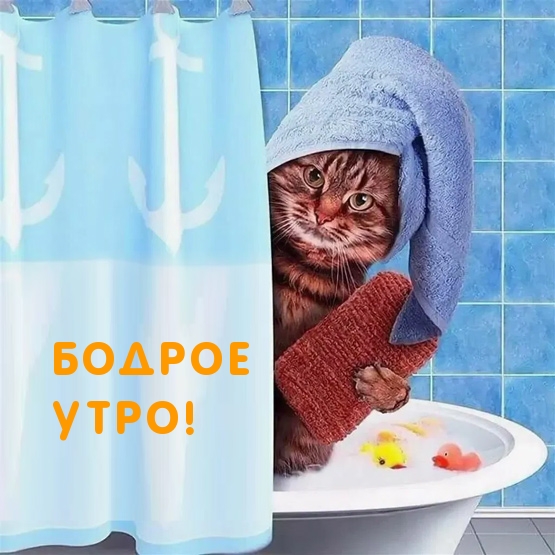   :  !
