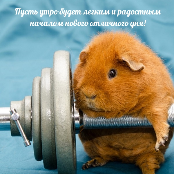          !.