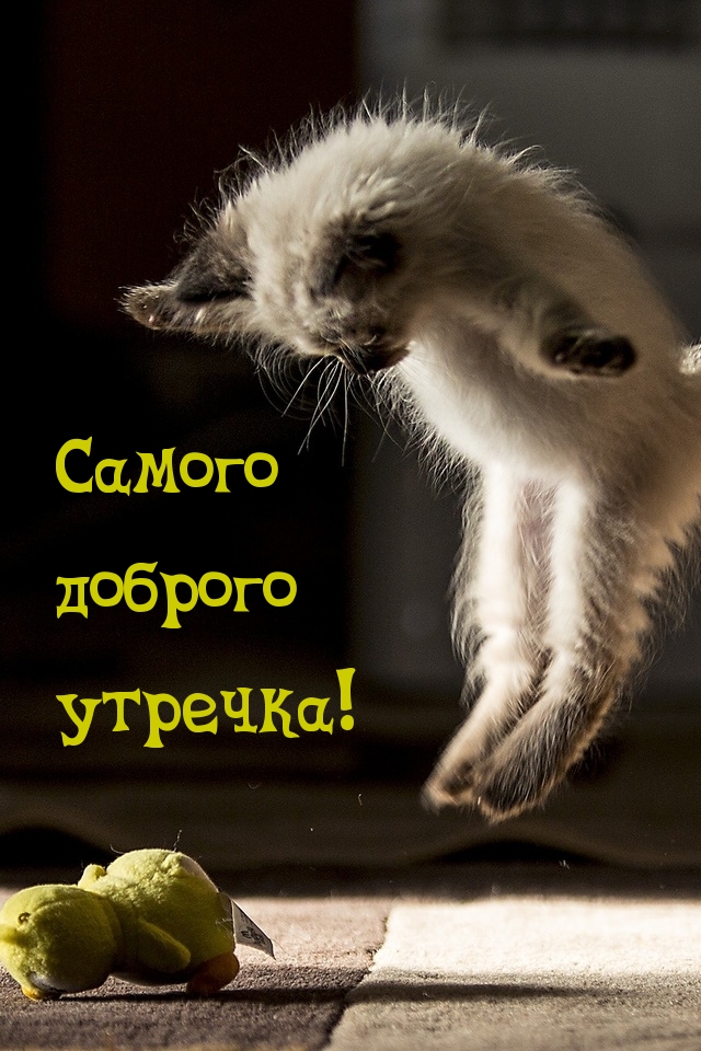   :   !