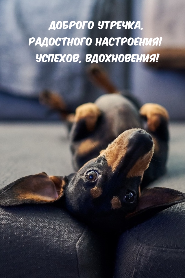  :  ,  ! , !