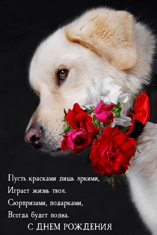   :    ,   .   