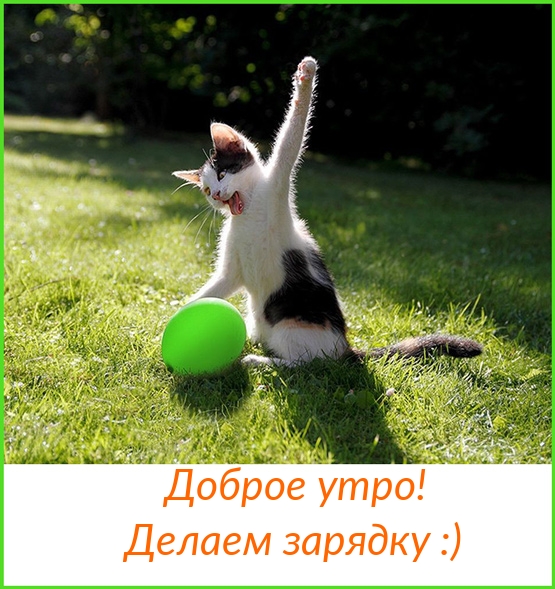 Картинки с надписями Доброе утро! Делаем зарядку :)