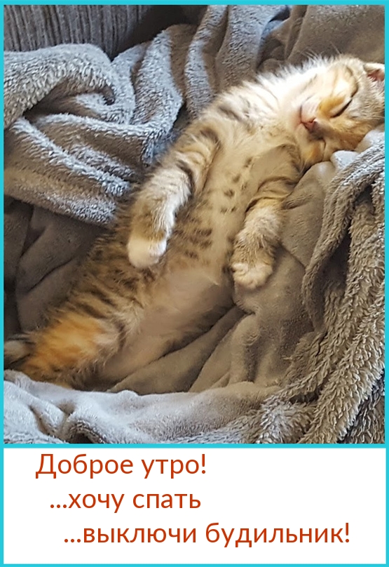  !... ... !.