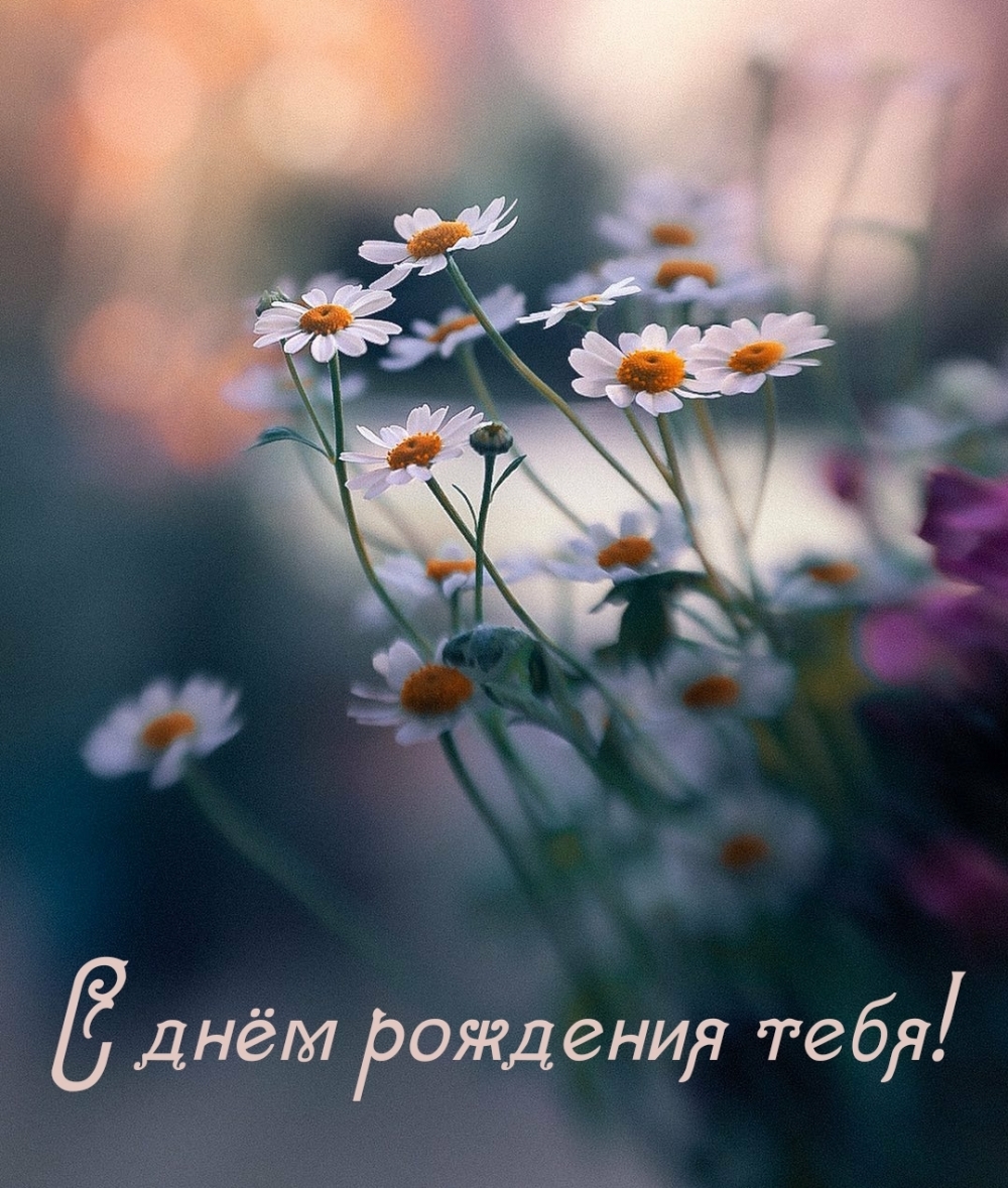 С днём рождения тебя!