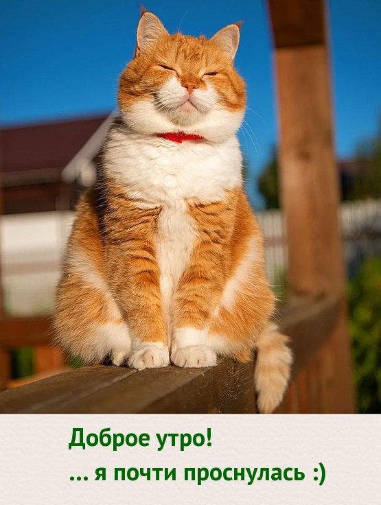   :  ! ...    :)