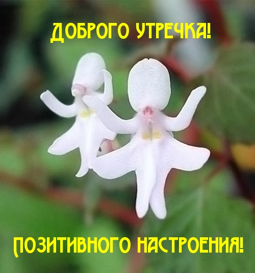   :  !  !