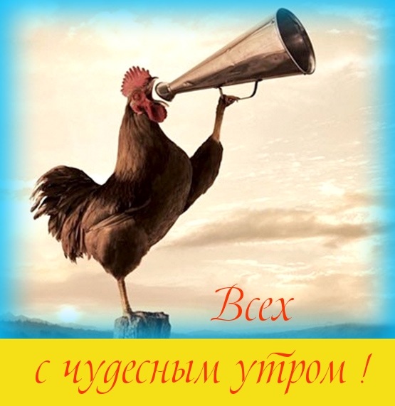   :    !