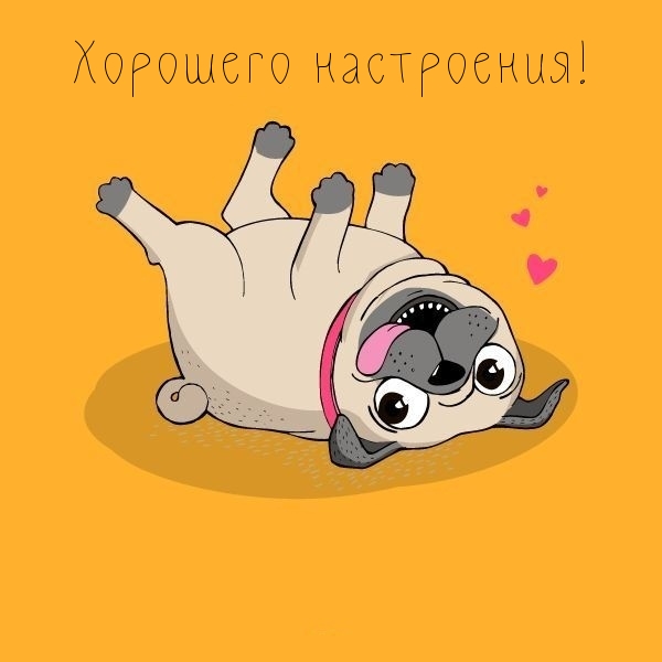   :  !