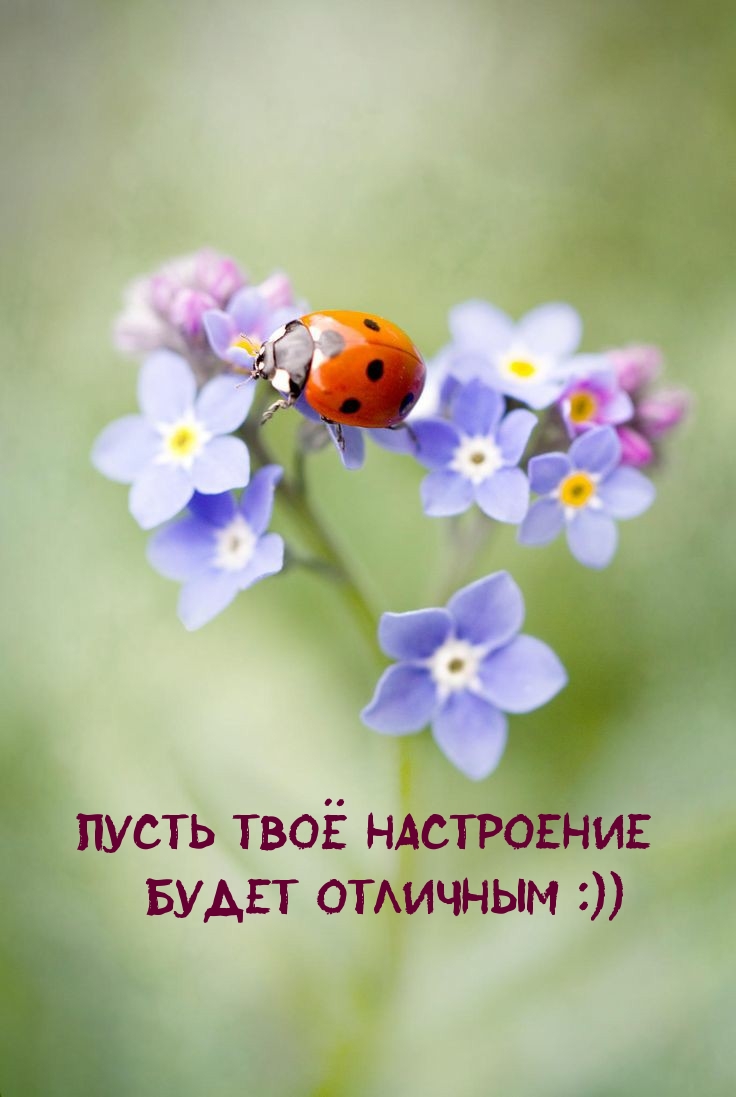      :))