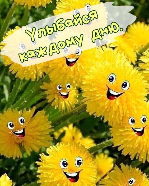   :   .