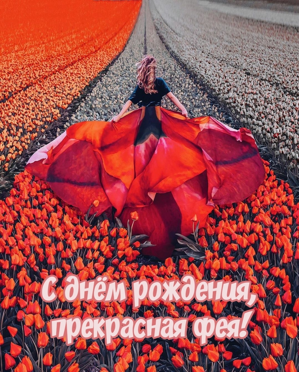  :   ,  !