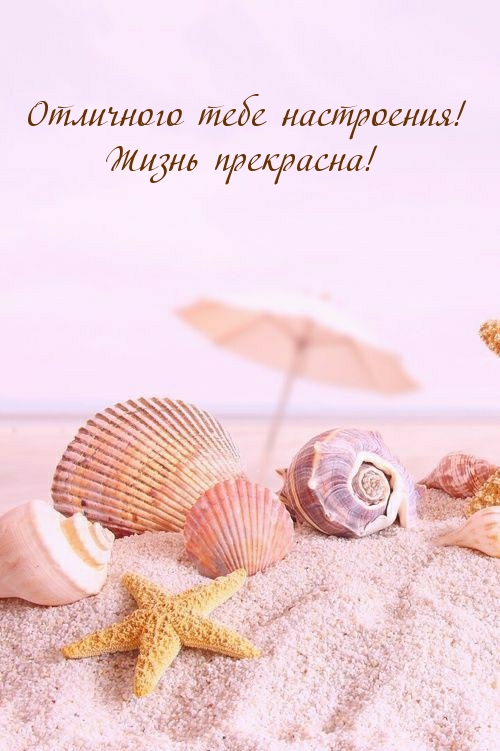   !  !.