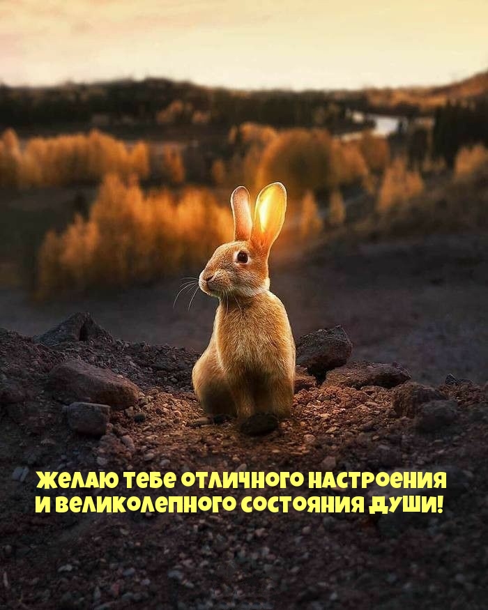   :     