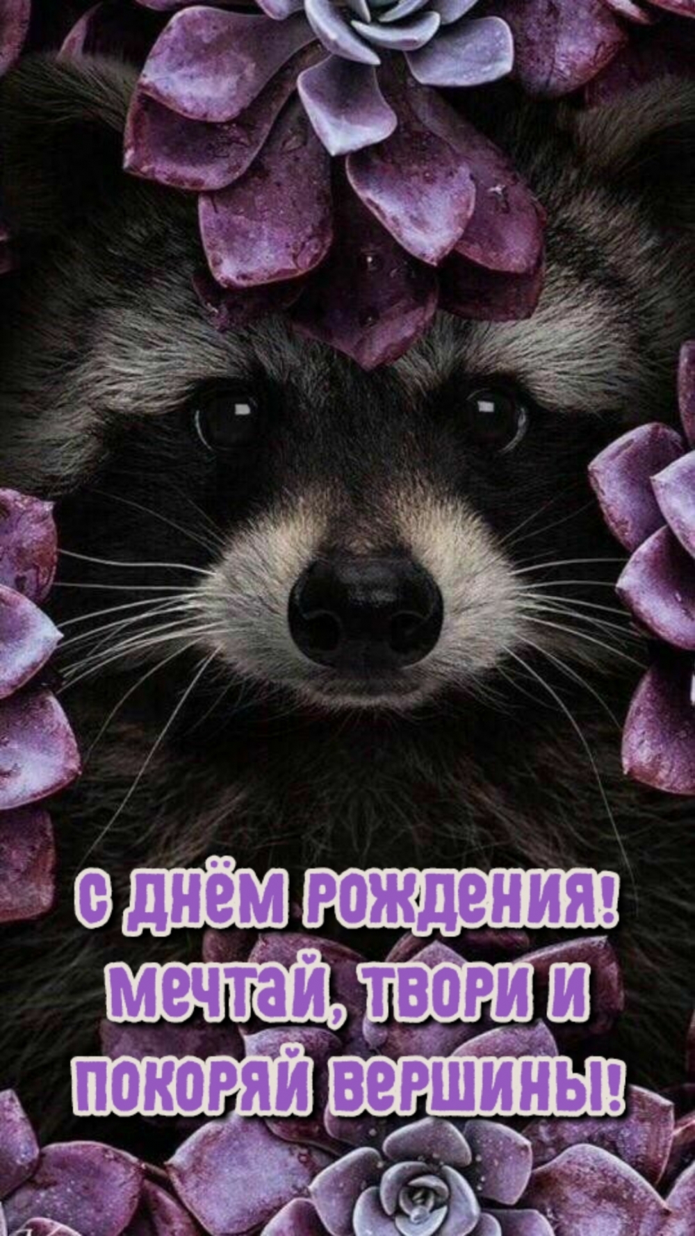   ! ,    !