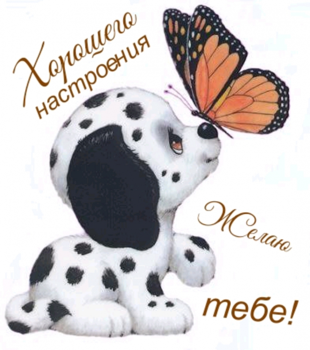 Хорошего настроения желаю тебе!