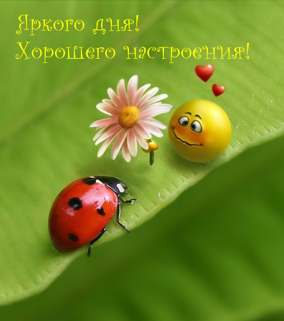   :  !  !