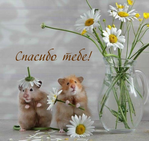  !.