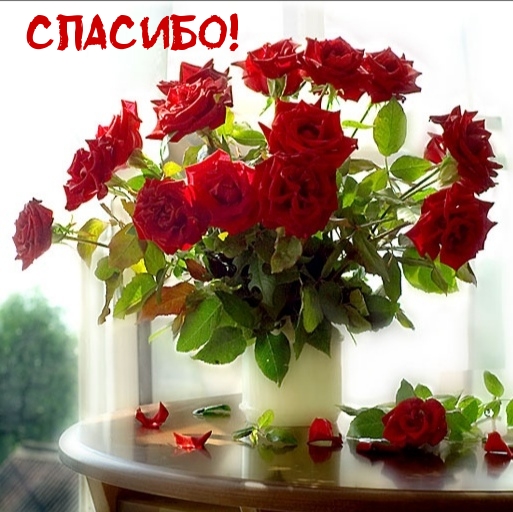 Спасибо!.