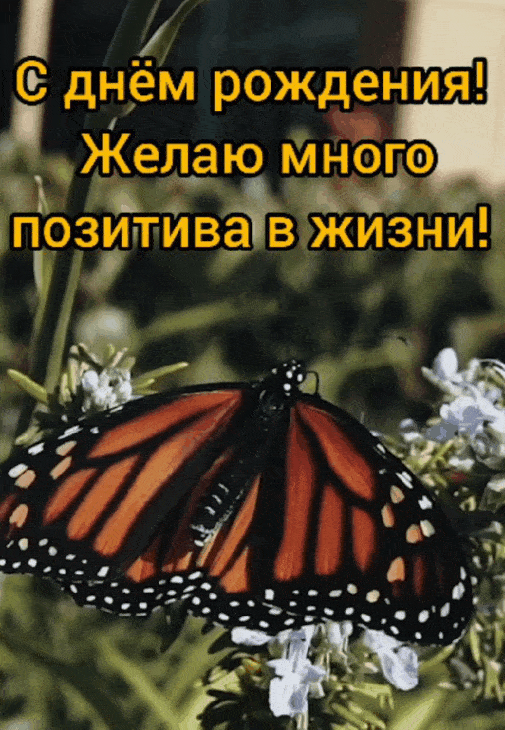   :     !