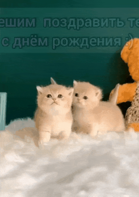   :       :)