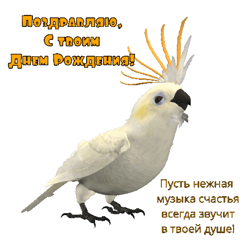  :   !