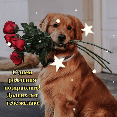   :    !