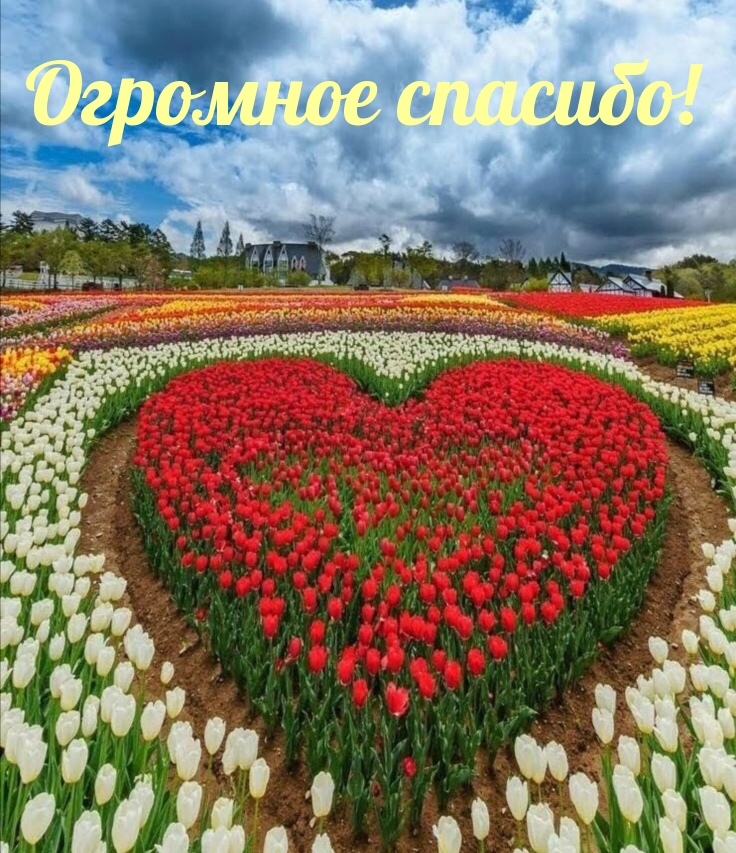   :  !