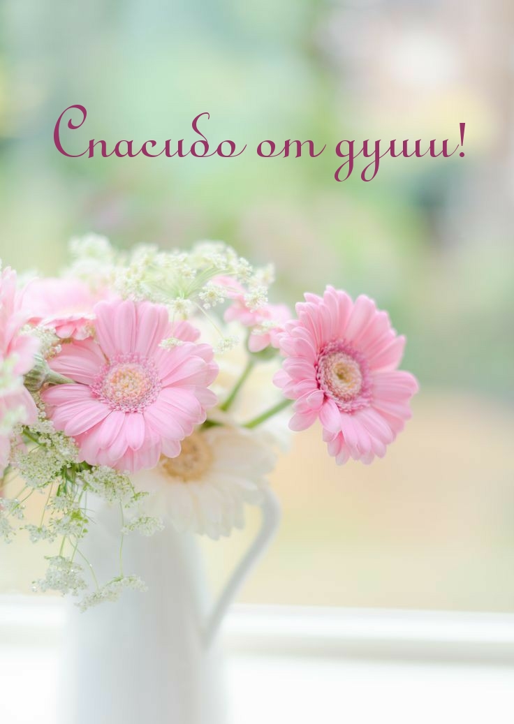 Спасибо от души!