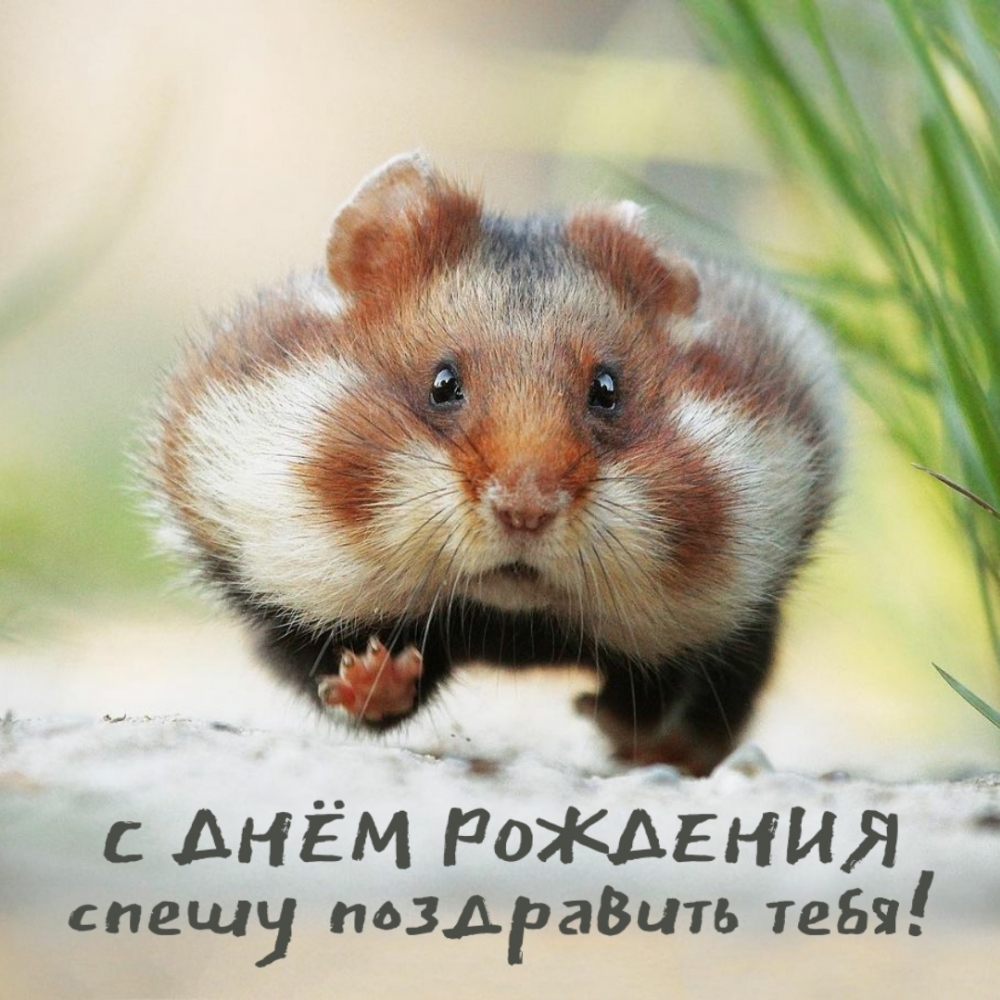      !