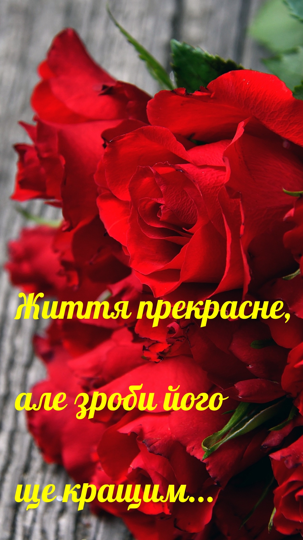   :  ,     ...