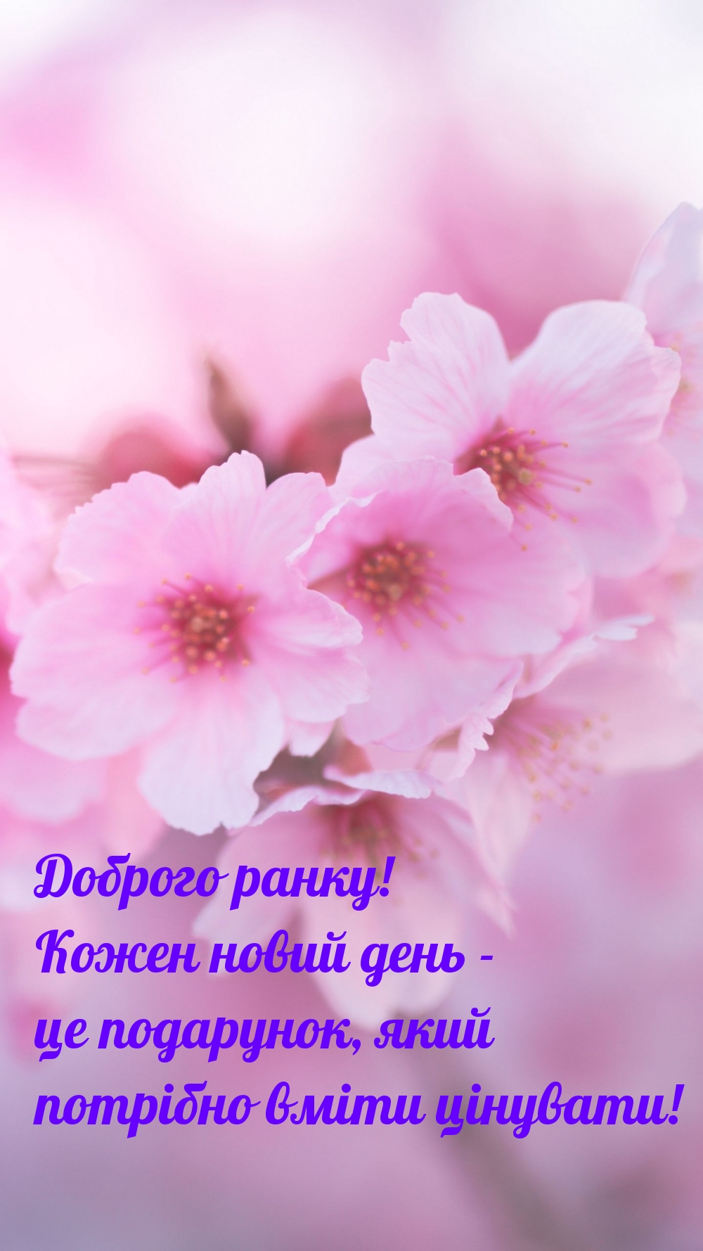 Доброго ранку!