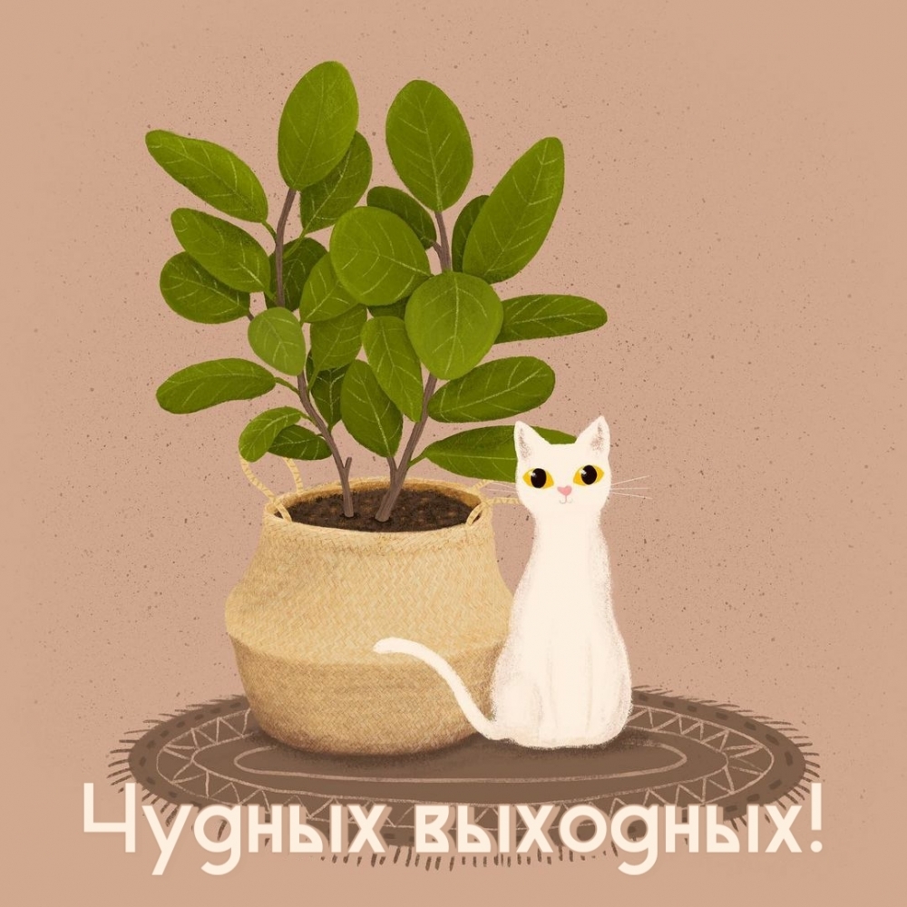   :  !