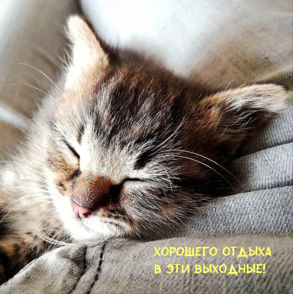 Хорошего отдыха в эти выходные!
