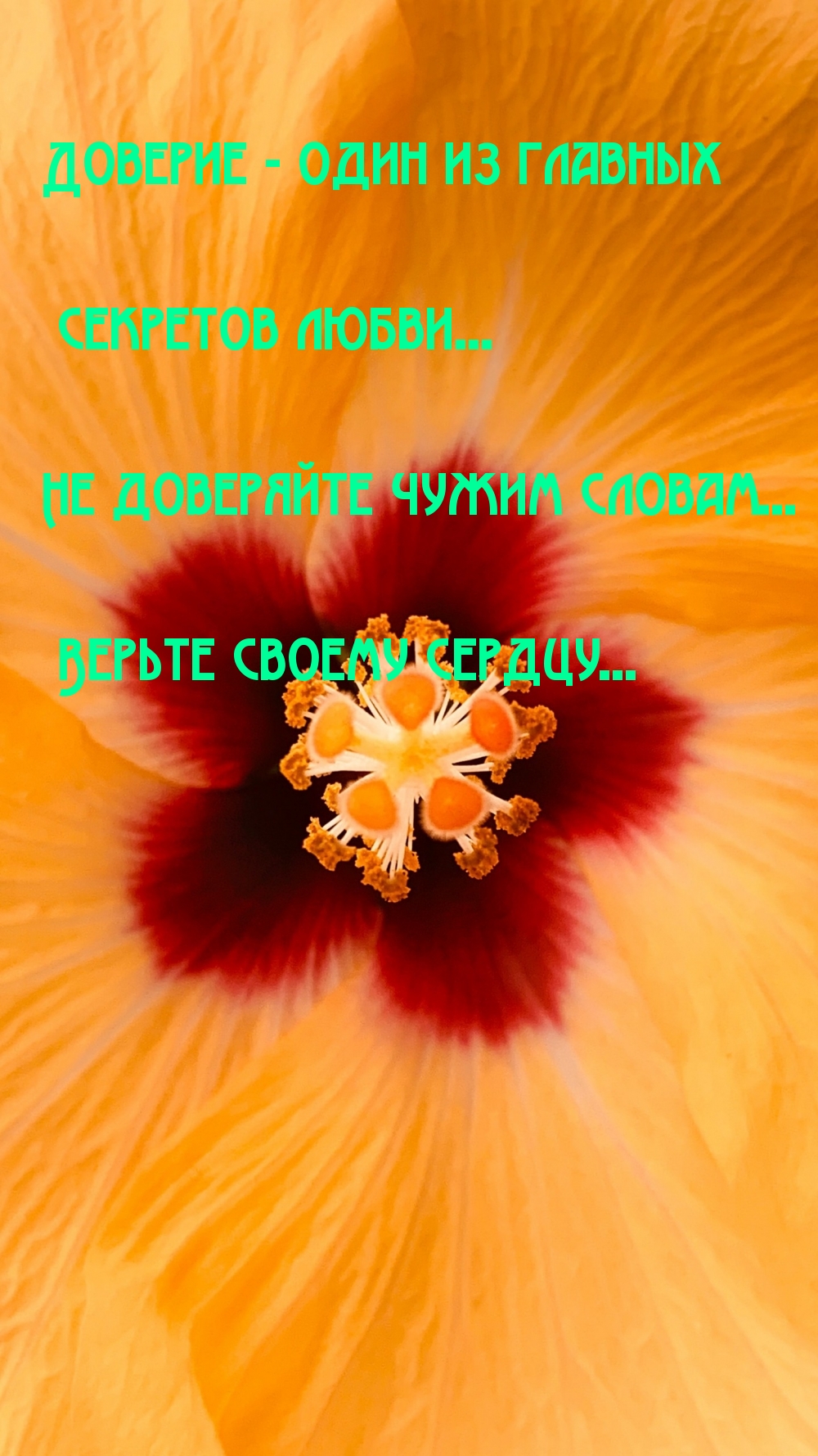 Доверие - один из главных секретов любви... 