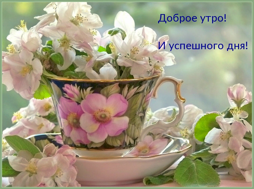 Доброе утро! И успешного дня!