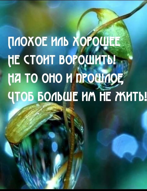      !.