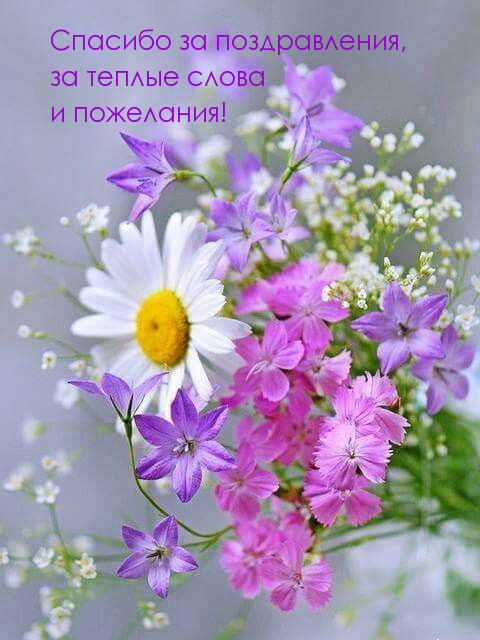 Спасибо за поздравления, за теплые слова и пожелания!.