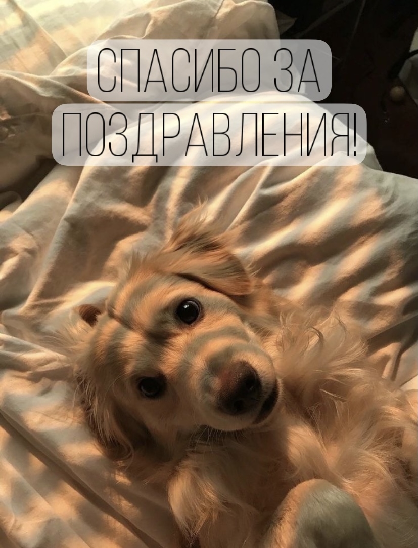   :   !