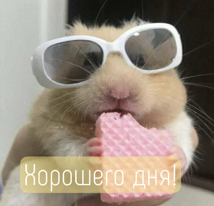Хорошего дня!