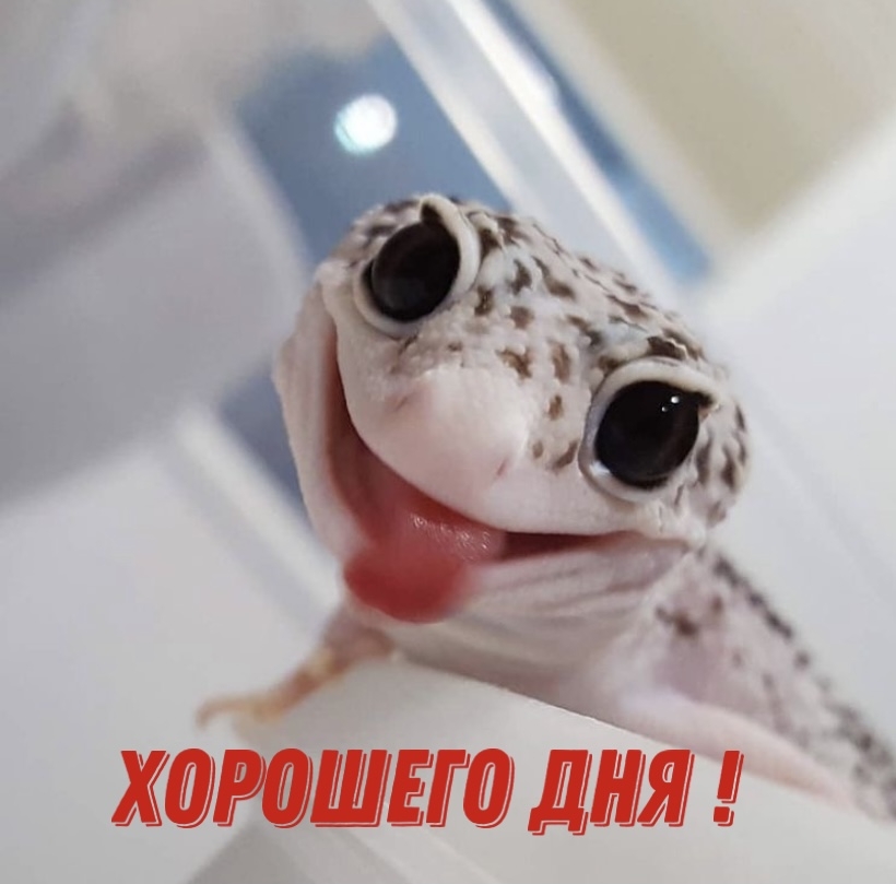  !