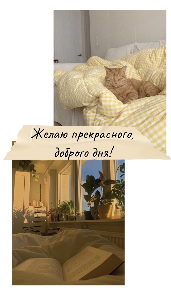   :  ,  !