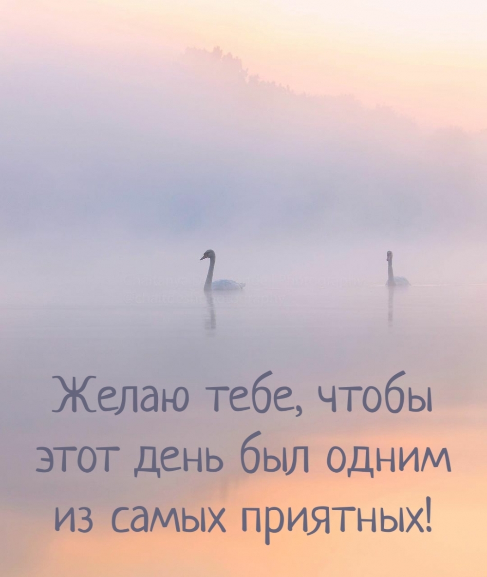   :  ,        !