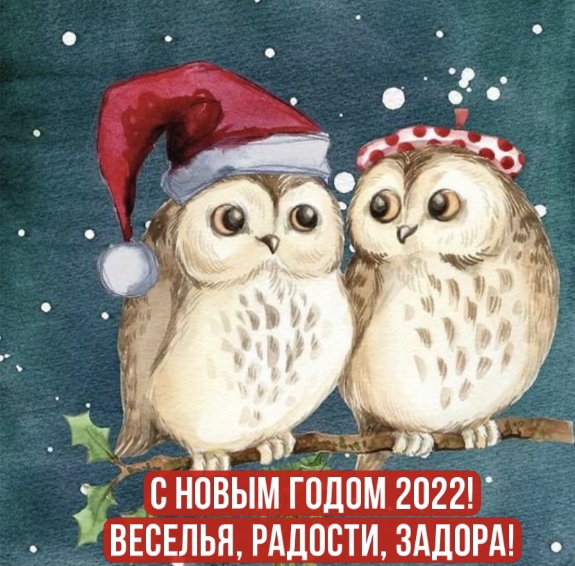    2022! , , !