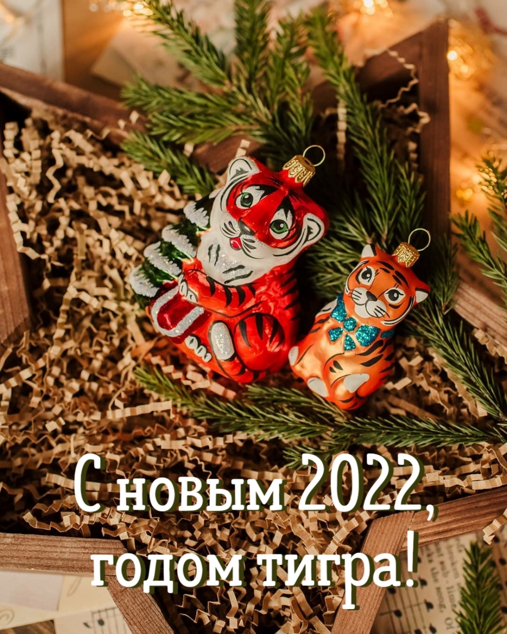   2022,  !