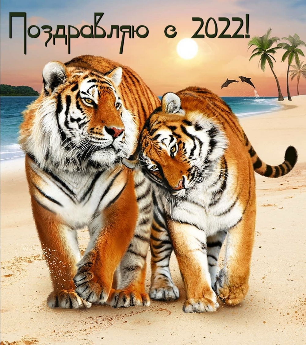Поздравляю с 2022!