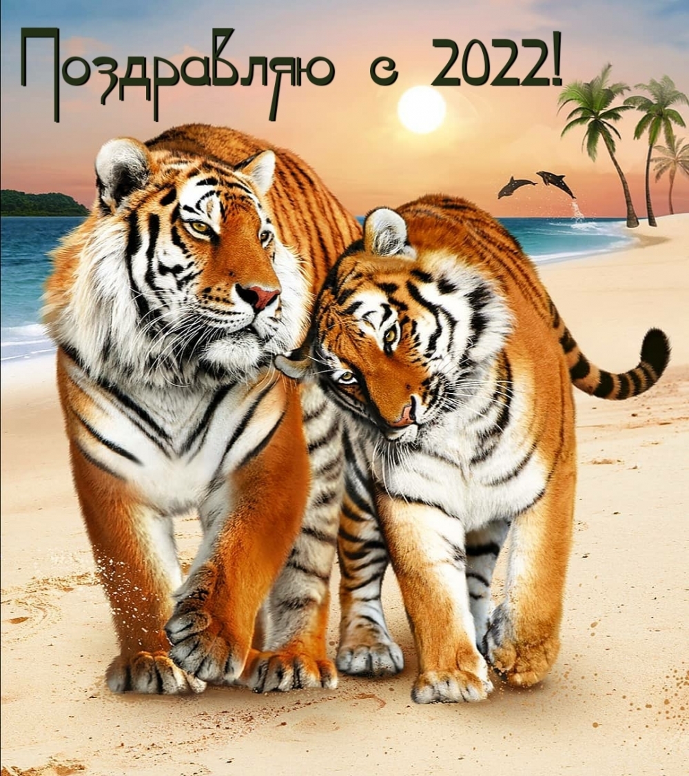      2022!