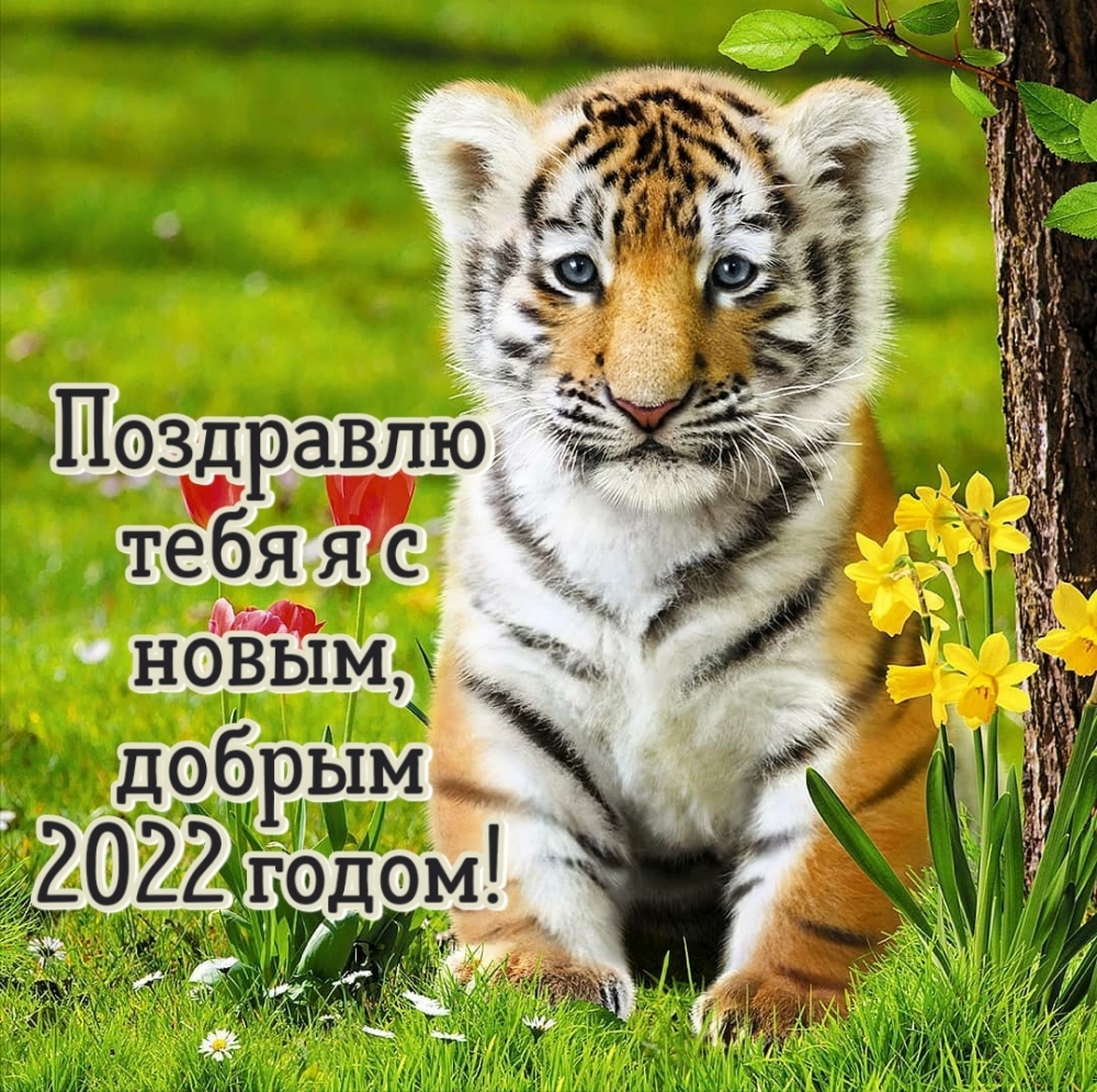 Днем Рождения 2022 Фото Днем Рождения 2022 Фото